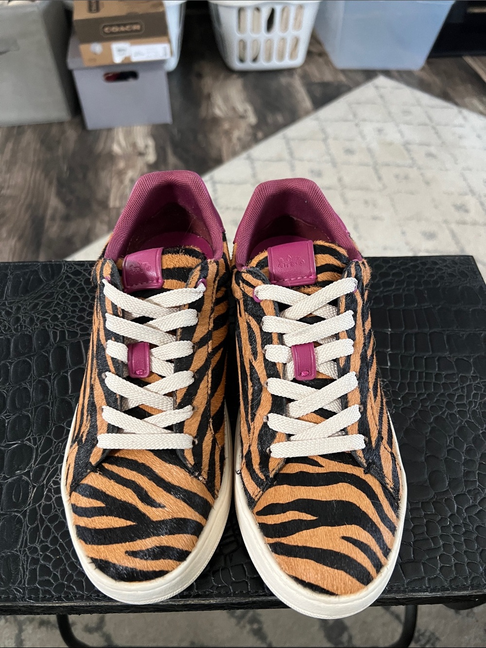 Coach Calf Hair Tiger Print Sneaker